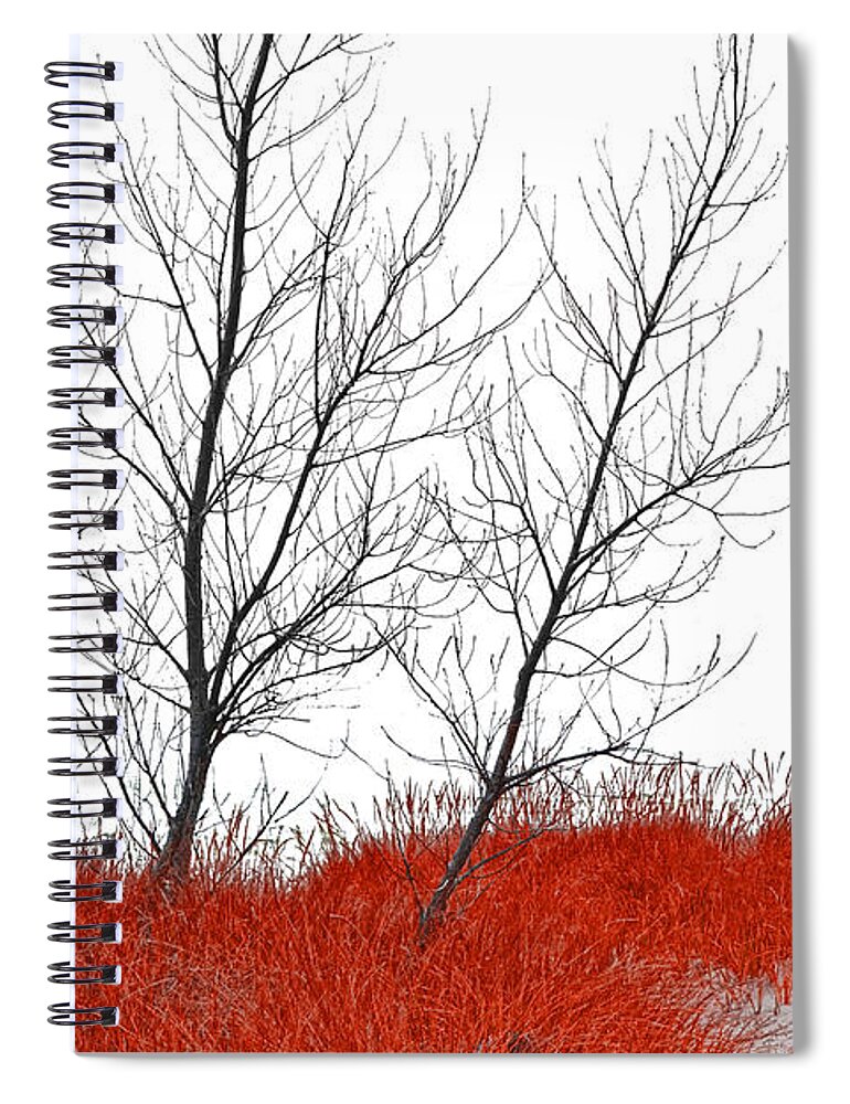 Art Spiral Notebook featuring the photograph Red Grass with black trees against white by Randall Nyhof