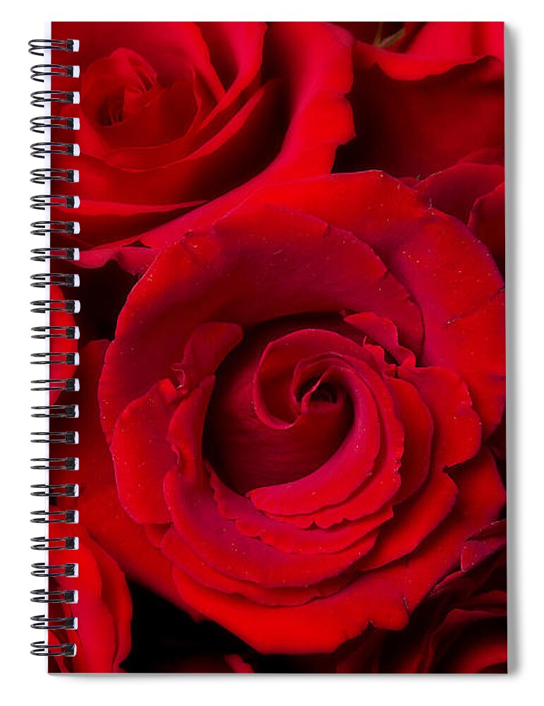 Anniversary Spiral Notebook featuring the photograph Red Rose Bouquet Dream by James BO Insogna