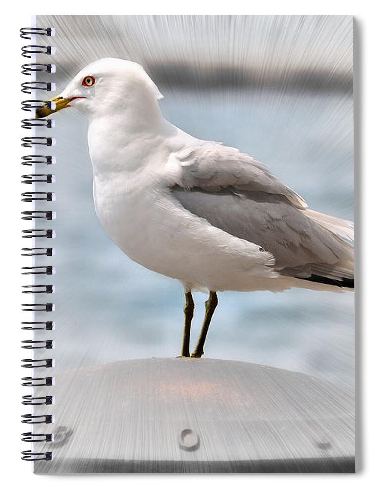 Bird Spiral Notebook featuring the photograph Ring Billed Gull by Elaine Manley
