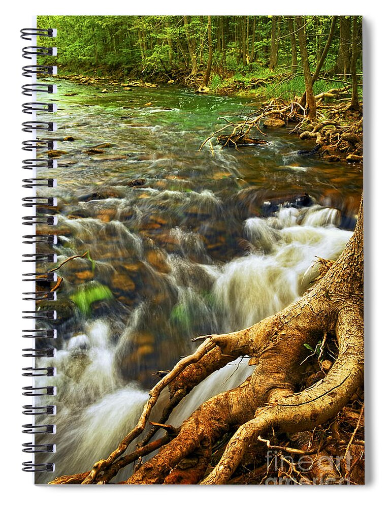 Water Spiral Notebook featuring the photograph River rapids 4 by Elena Elisseeva