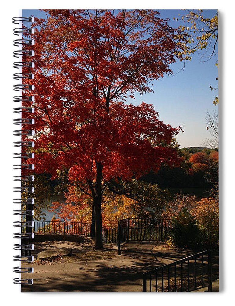 Fall Spiral Notebook featuring the photograph River Tree by Tim Nyberg
