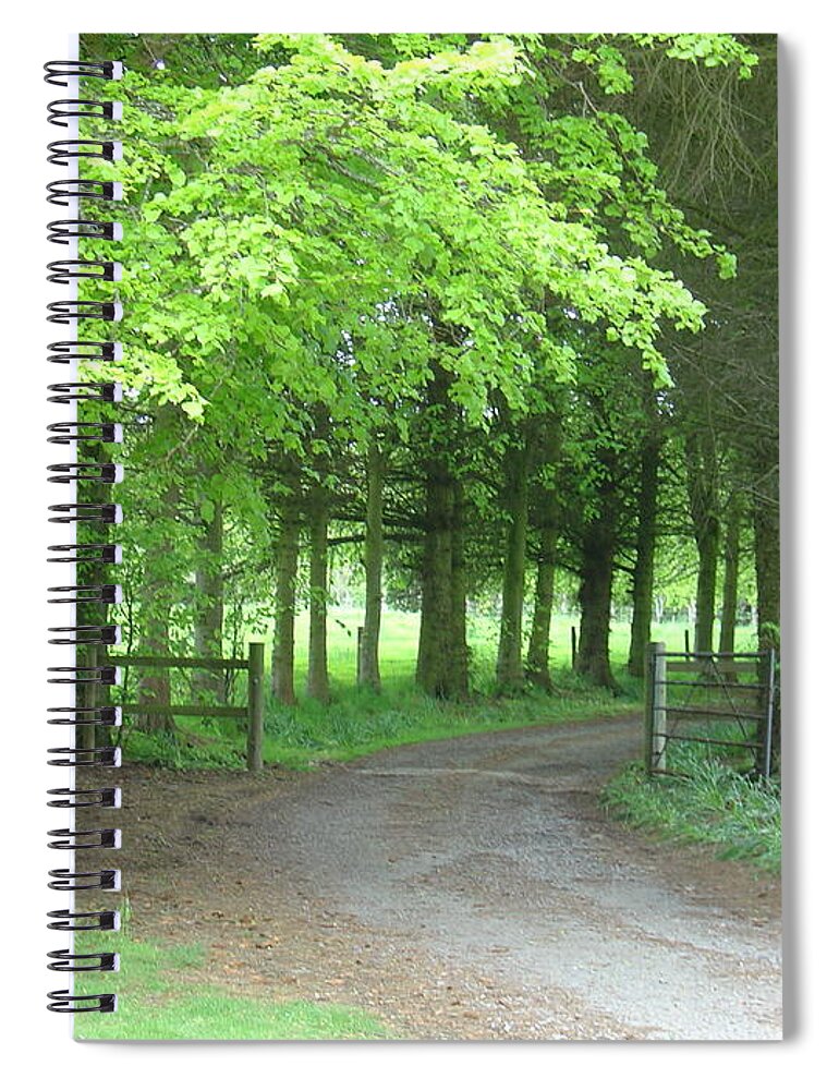 Woods Spiral Notebook featuring the photograph Road into the Woods by Charles and Melisa Morrison