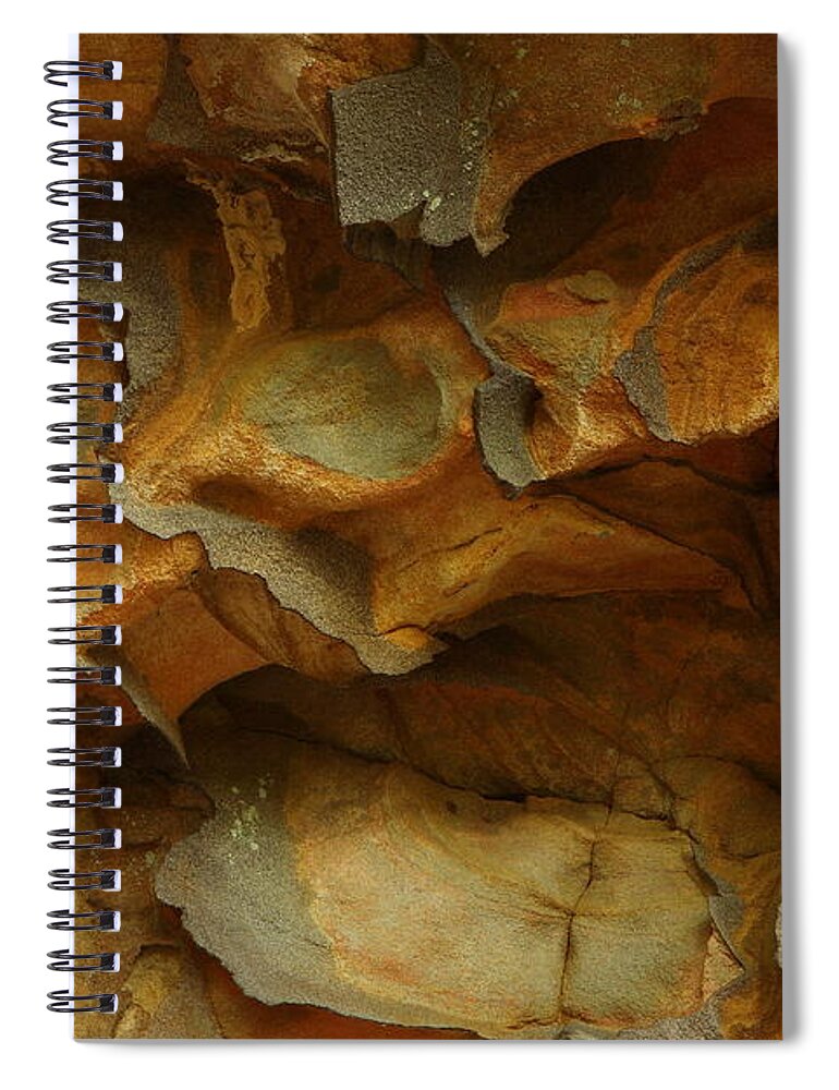 Rock Spiral Notebook featuring the photograph Rock by Daniel Reed