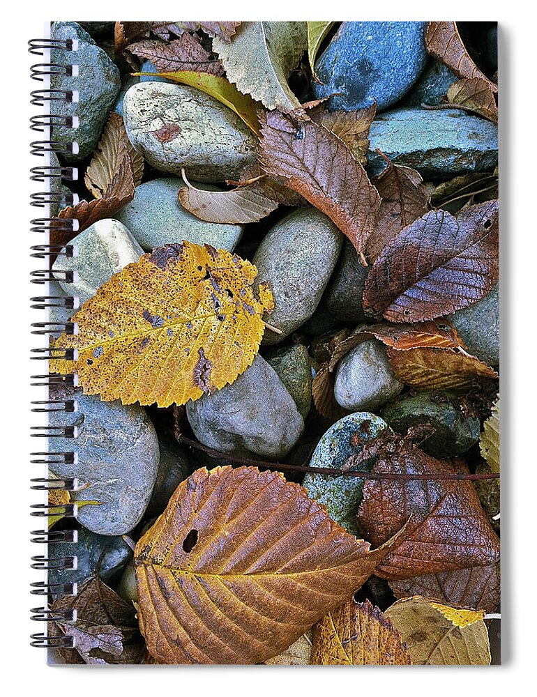 Leaves Spiral Notebook featuring the photograph Rocks And Leaves by Bill Owen