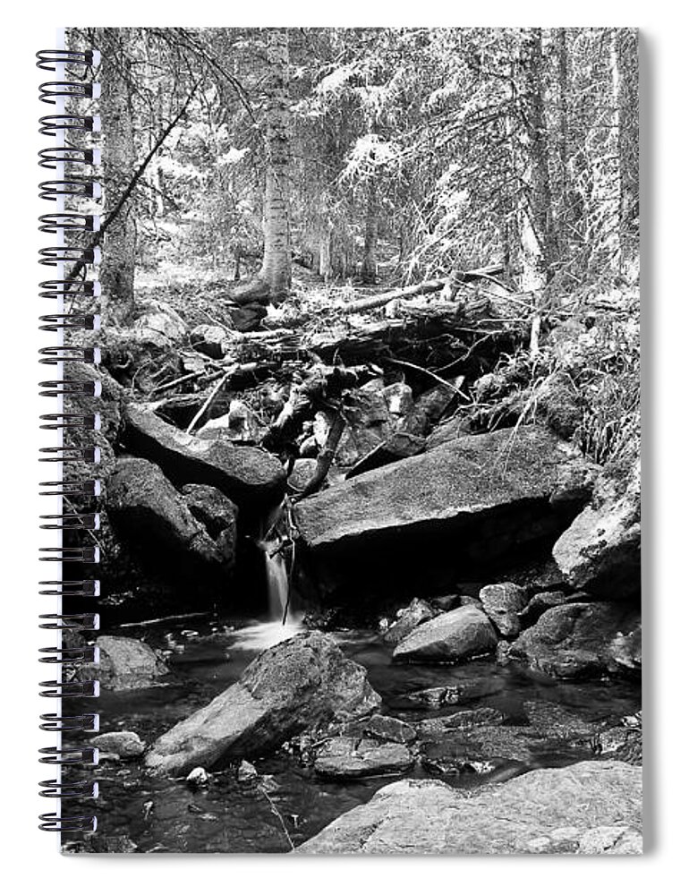 Stream Spiral Notebook featuring the photograph Rocky Mountain Forest Stream Landscape BW by James BO Insogna