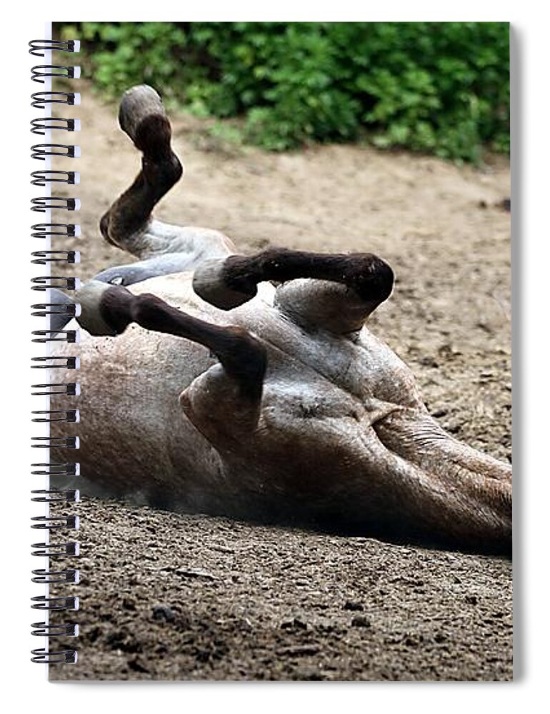 Horse Spiral Notebook featuring the photograph Rollin in the Dirt by Elizabeth Winter