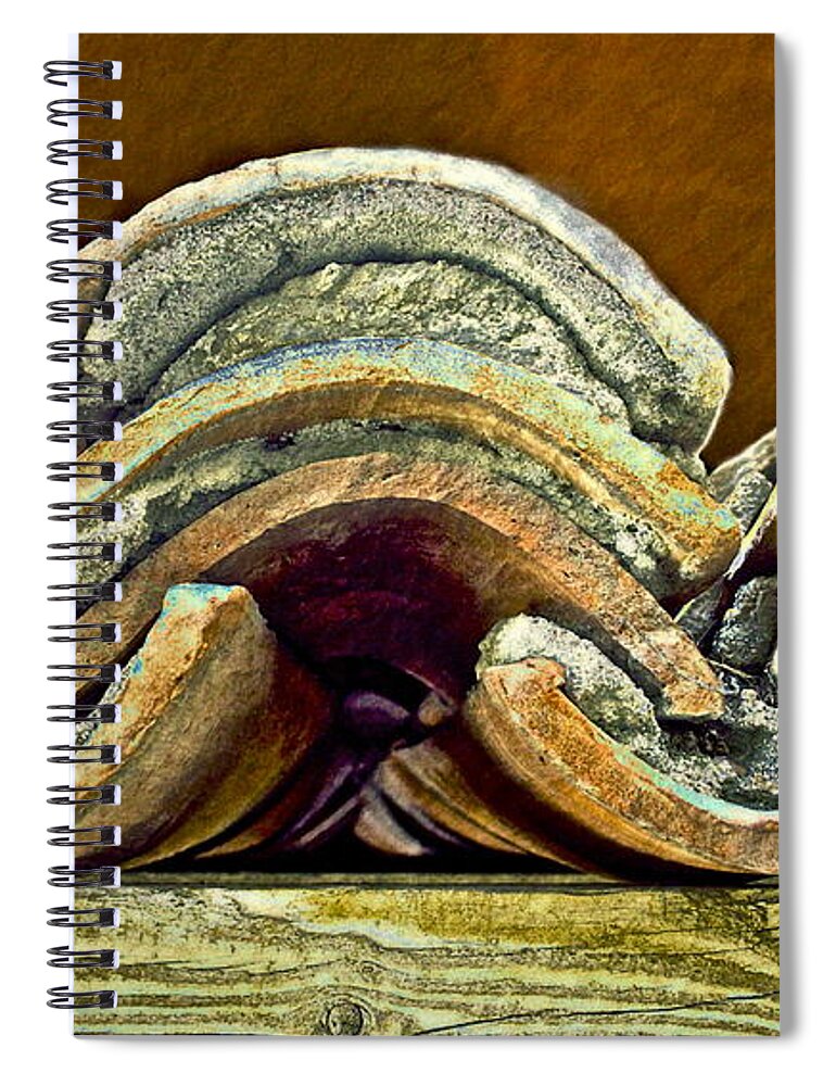 Roof Spiral Notebook featuring the photograph Roof Tiles by Gwyn Newcombe