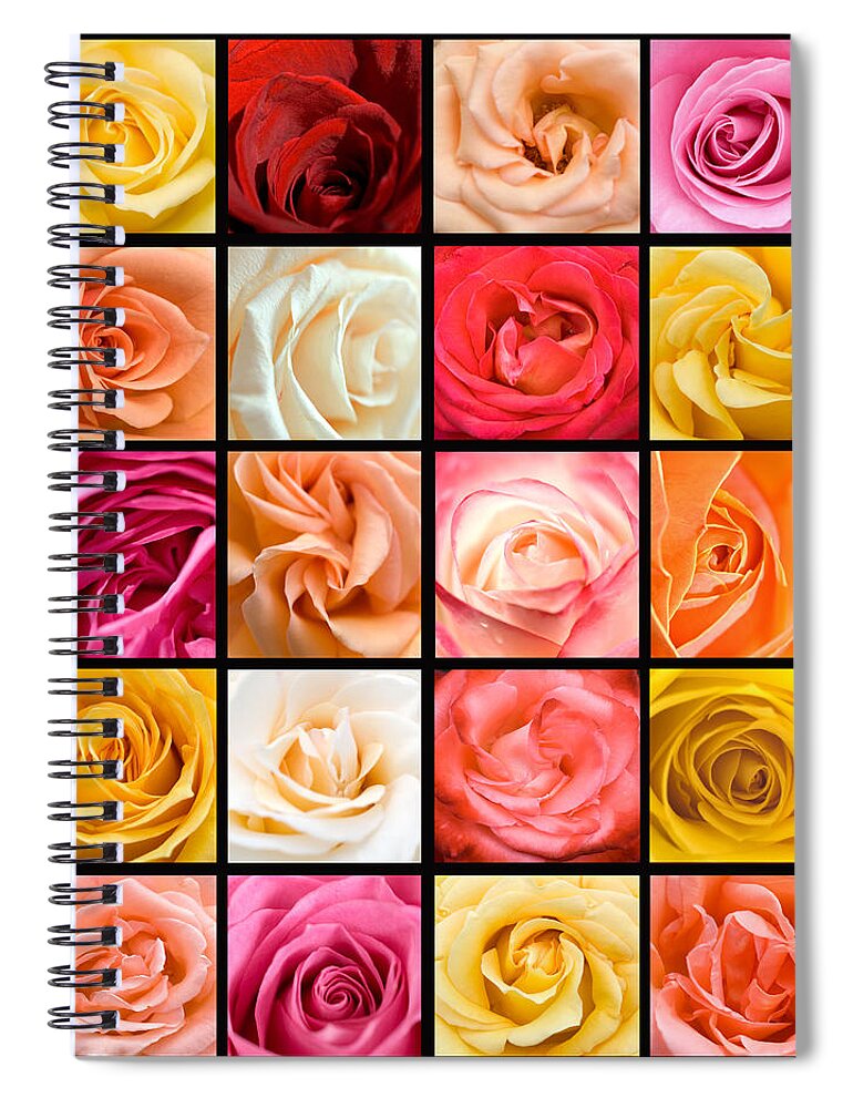 Roses Spiral Notebook featuring the photograph Rose Garden by Jessica Wakefield