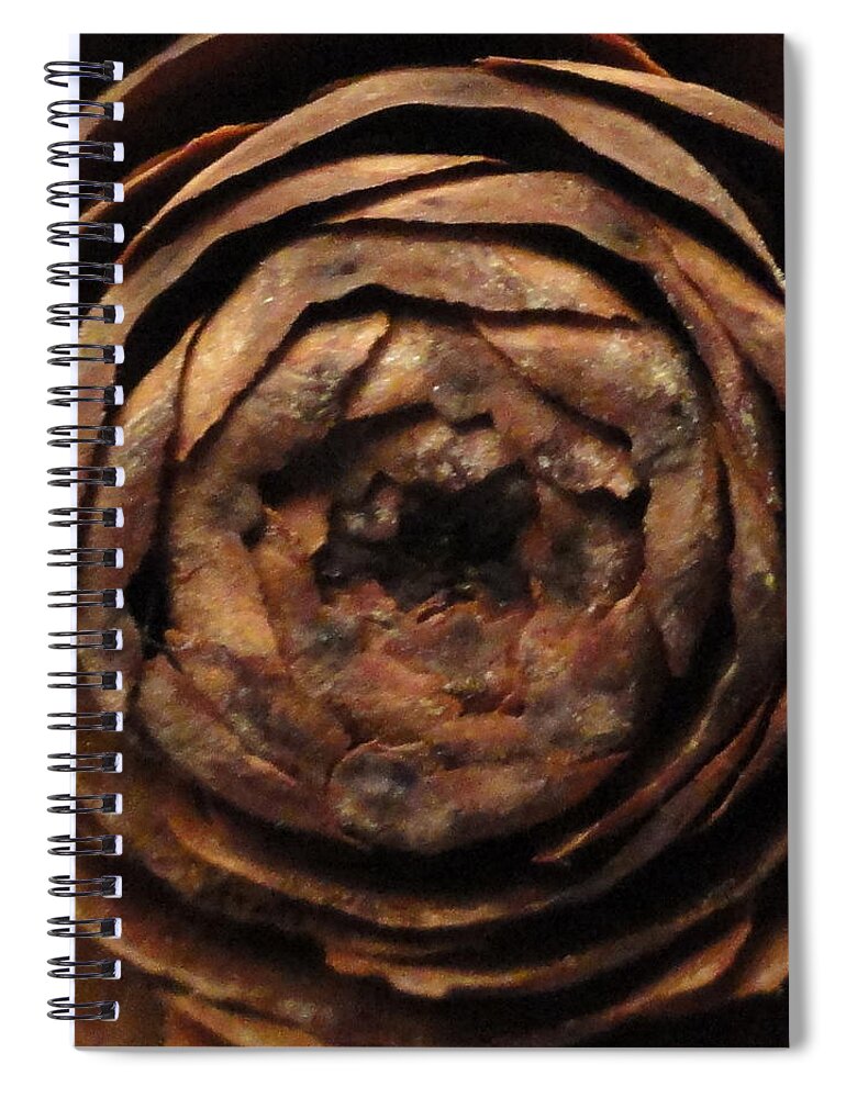Rosette Spiral Notebook featuring the photograph Rosette by Shannon Grissom