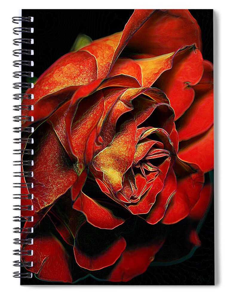 Red Rose Spiral Notebook featuring the photograph Rosey Hues by Bill and Linda Tiepelman
