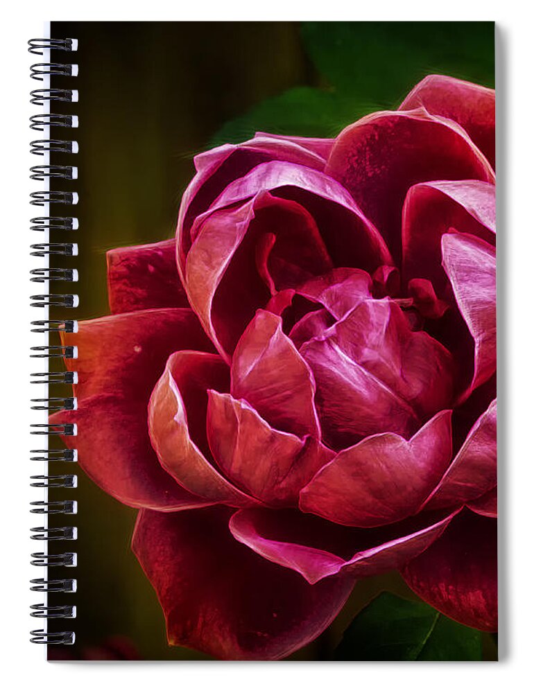 Rose Spiral Notebook featuring the photograph Rosy Pink by Bill and Linda Tiepelman