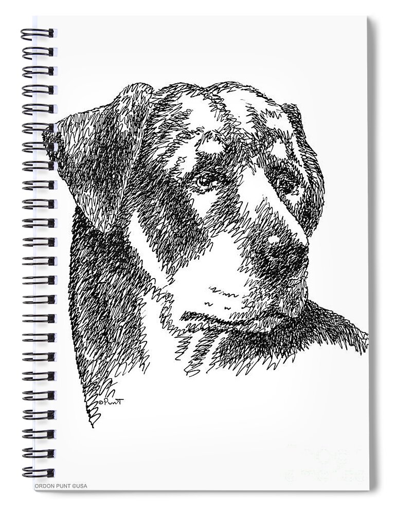 Rottweiler Spiral Notebook featuring the drawing Rottweiler-Drawing by Gordon Punt