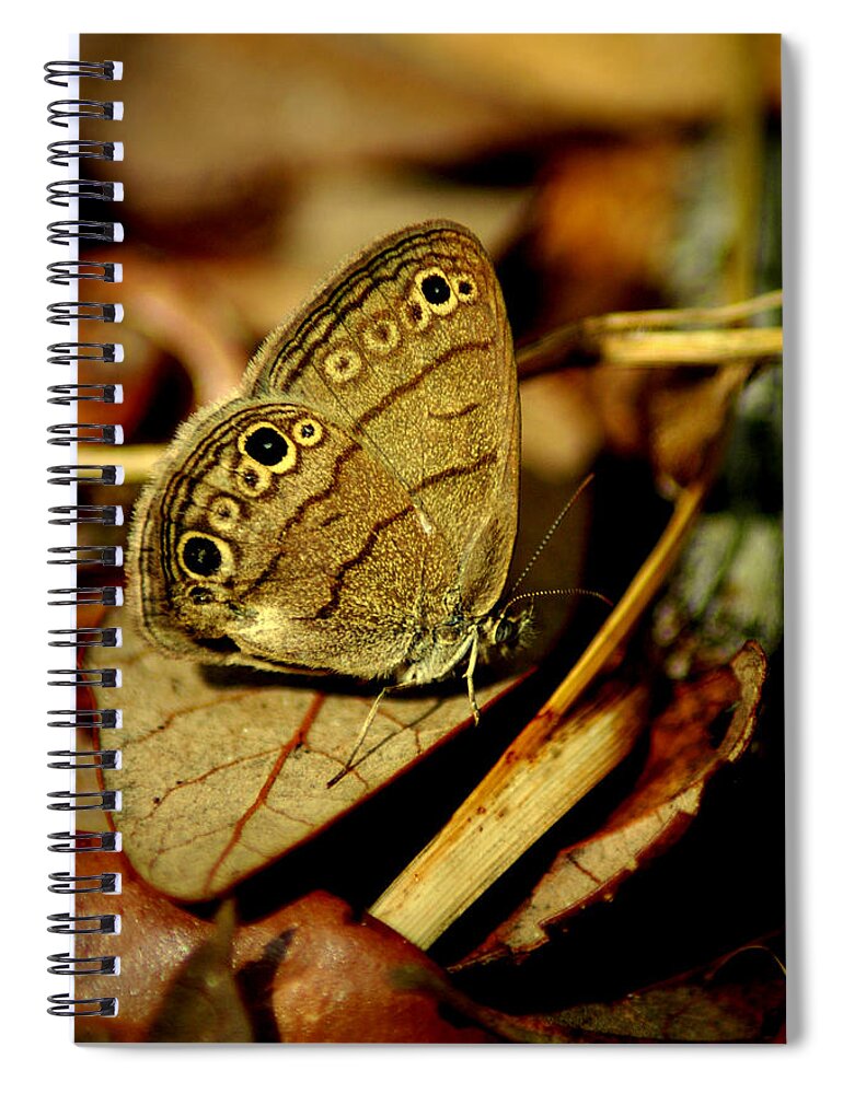 Butterfly Spiral Notebook featuring the photograph Rustic by David Weeks