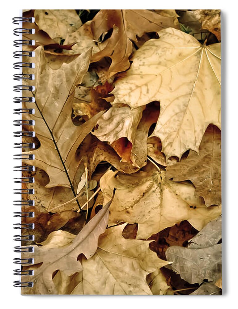 Leaf Spiral Notebook featuring the photograph Rustle by Trish Tritz
