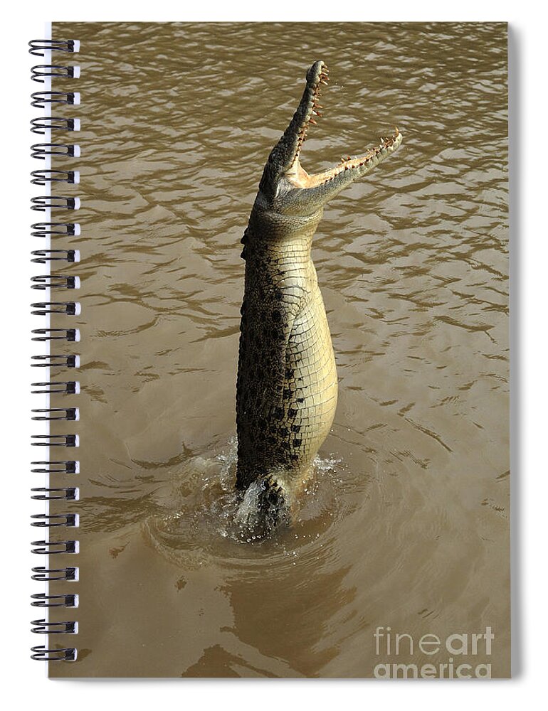  Salt Water Crocodile Spiral Notebook featuring the photograph Salt Water Crocodile by Bob Christopher