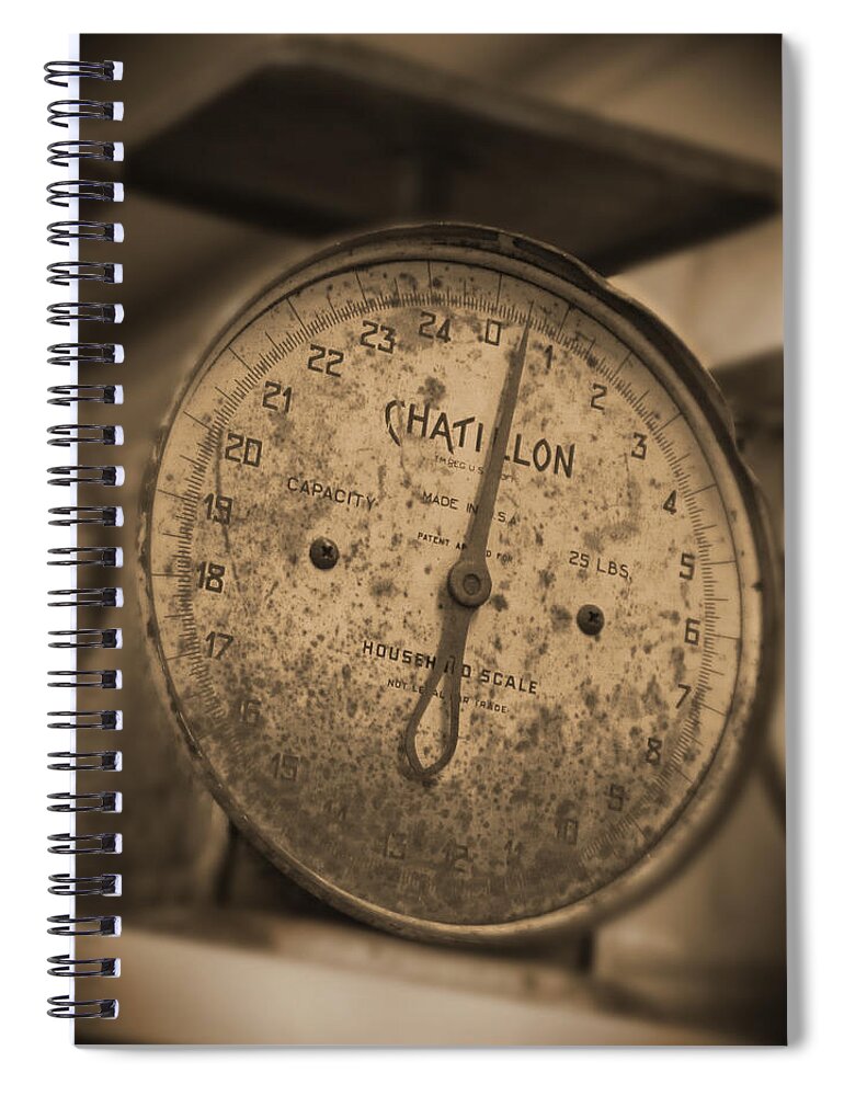 Scale Spiral Notebook featuring the photograph Scale by Mike McGlothlen