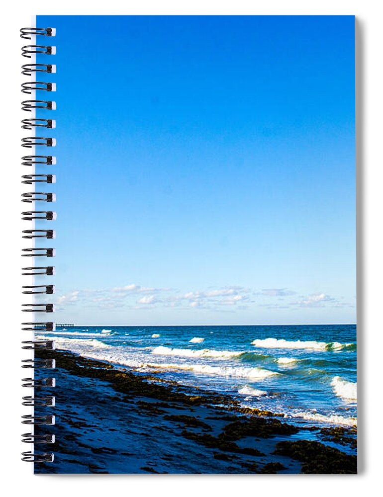 Ocean Spiral Notebook featuring the photograph Sea Weed by Shannon Harrington