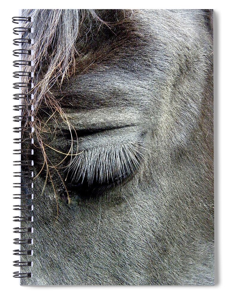 Friesians Spiral Notebook featuring the photograph Serenity Eye by Kim Galluzzo