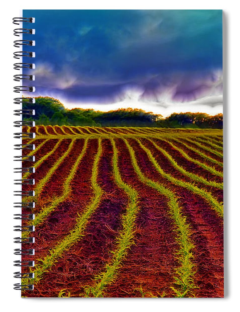 Cops Spiral Notebook featuring the photograph Shagadelic Crop Lines by Bill and Linda Tiepelman