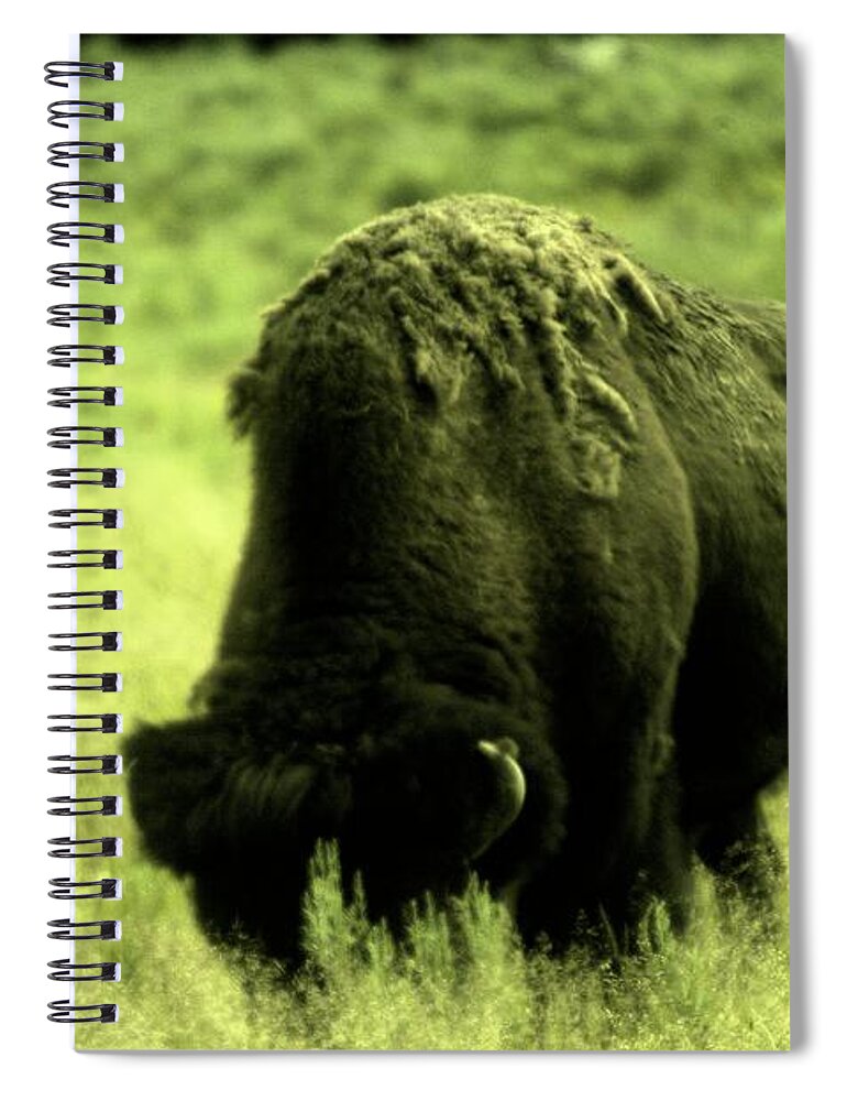 Buffalo Spiral Notebook featuring the photograph Shedding by Jeff Swan