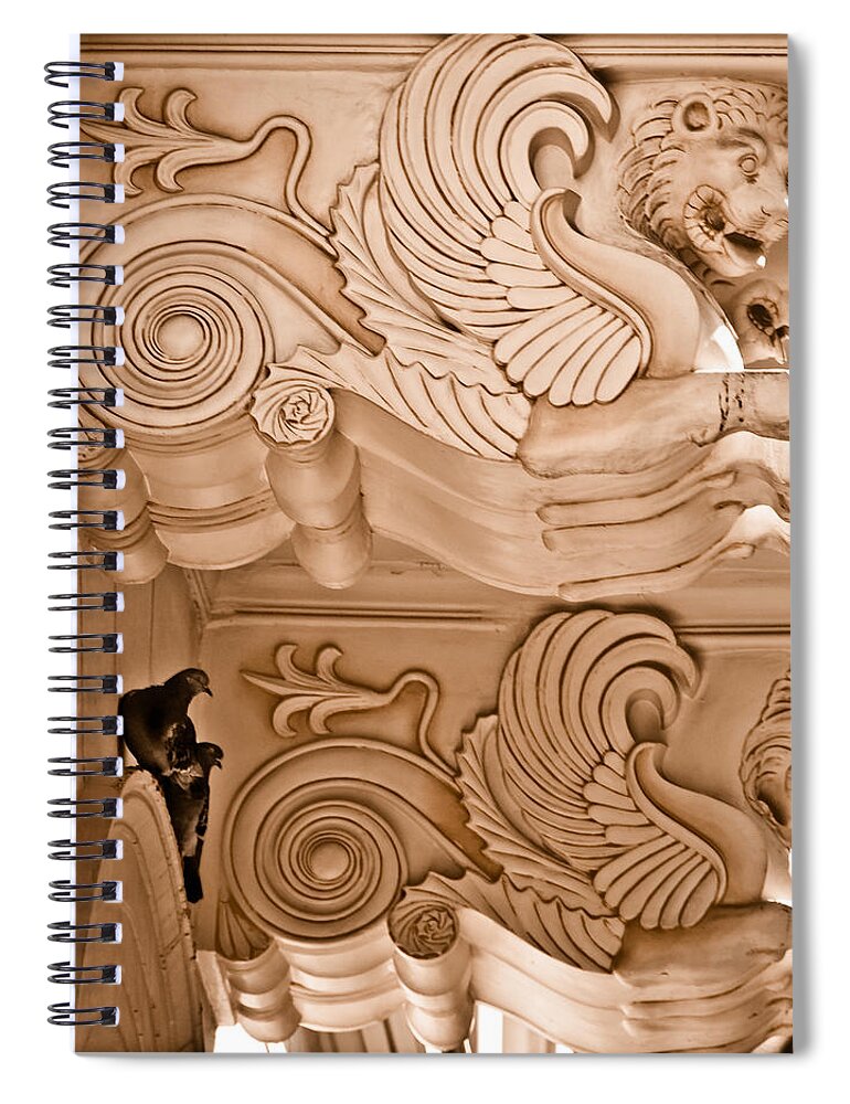 Pigeons Spiral Notebook featuring the photograph Athens, Greece - Shelter by Mark Forte