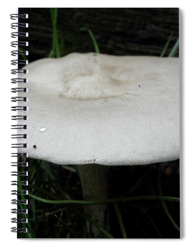 Mushroom Spiral Notebook featuring the photograph Shroooom by Kim Galluzzo