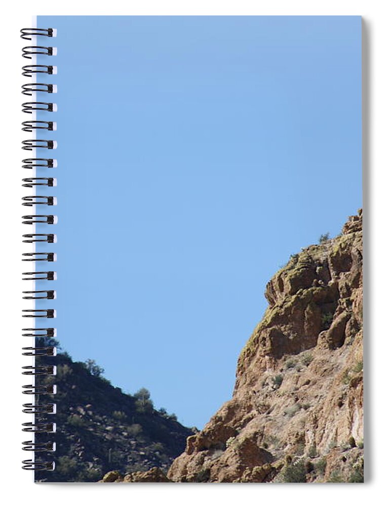 Sagouro Spiral Notebook featuring the photograph Side by Side but different by Kim Galluzzo Wozniak