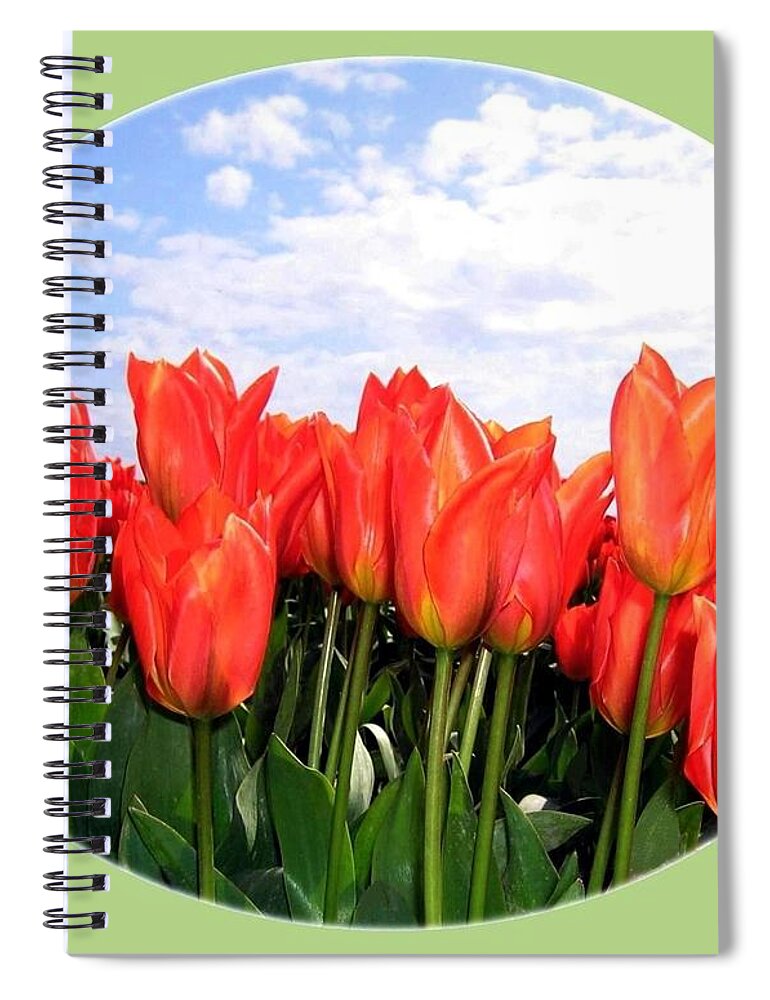 Tulips Spiral Notebook featuring the photograph Skagit Valley Tulips 1 by Will Borden