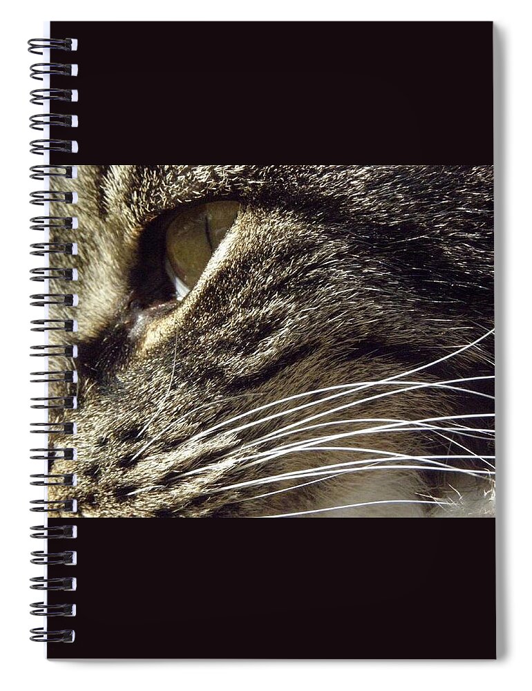 Sliver Spiral Notebook featuring the photograph Sliver by Kim Galluzzo