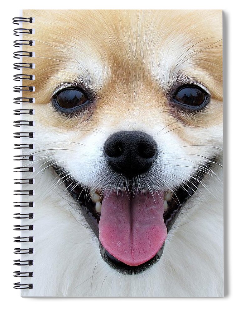 Dog Spiral Notebook featuring the photograph Smiley Zoey by Lori Lafargue