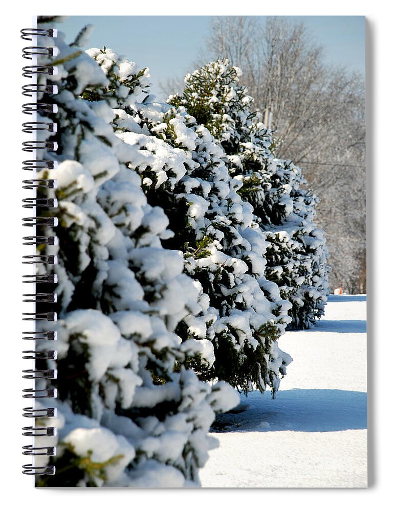 Snow Spiral Notebook featuring the photograph Snow in the Trees by Mark Dodd