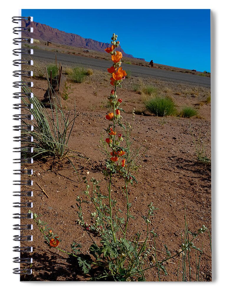 Flower Spiral Notebook featuring the photograph Southwest Wildflower by Julie Niemela