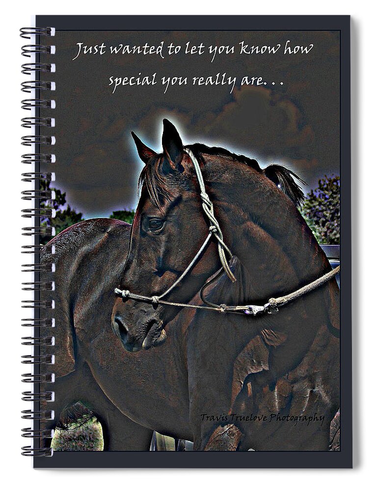 You Are Special Spiral Notebook featuring the photograph Special Thoughts by Travis Truelove