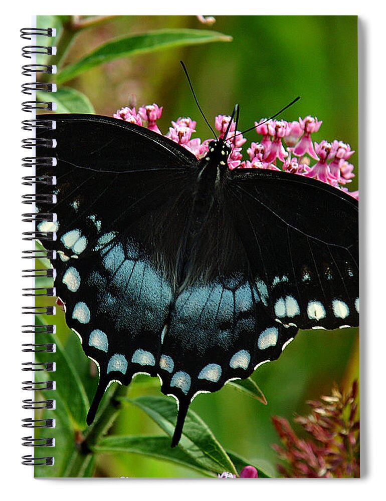 Nature Spiral Notebook featuring the photograph Spicebush Swallowtail DIN038 by Gerry Gantt