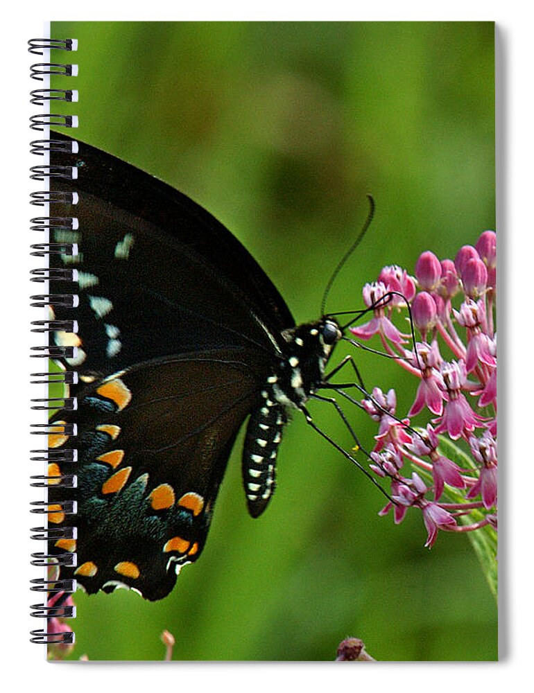 Nature Spiral Notebook featuring the photograph Spicebush Swallowtail DIN039 by Gerry Gantt