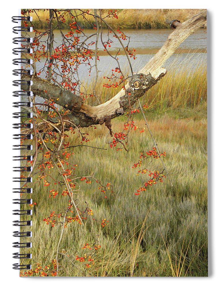 Winter Spiral Notebook featuring the photograph Splash Of Color by Kim Galluzzo