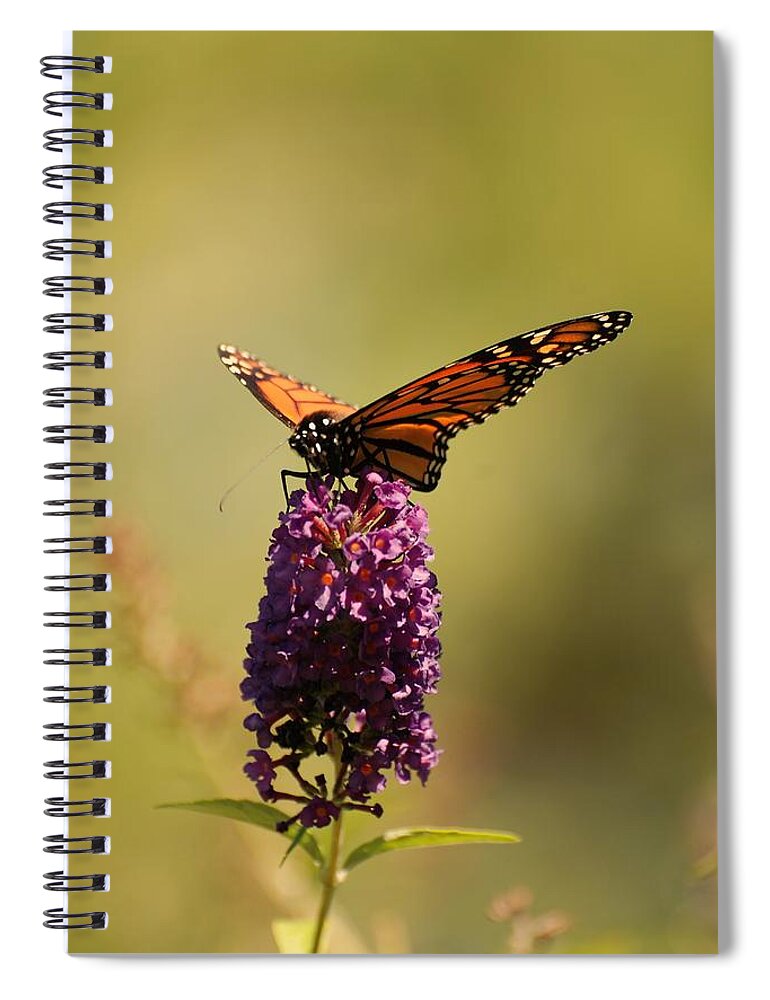 Spread Your Wings And Fly Spiral Notebook featuring the photograph Spread Your Wings And Fly by Angie Tirado