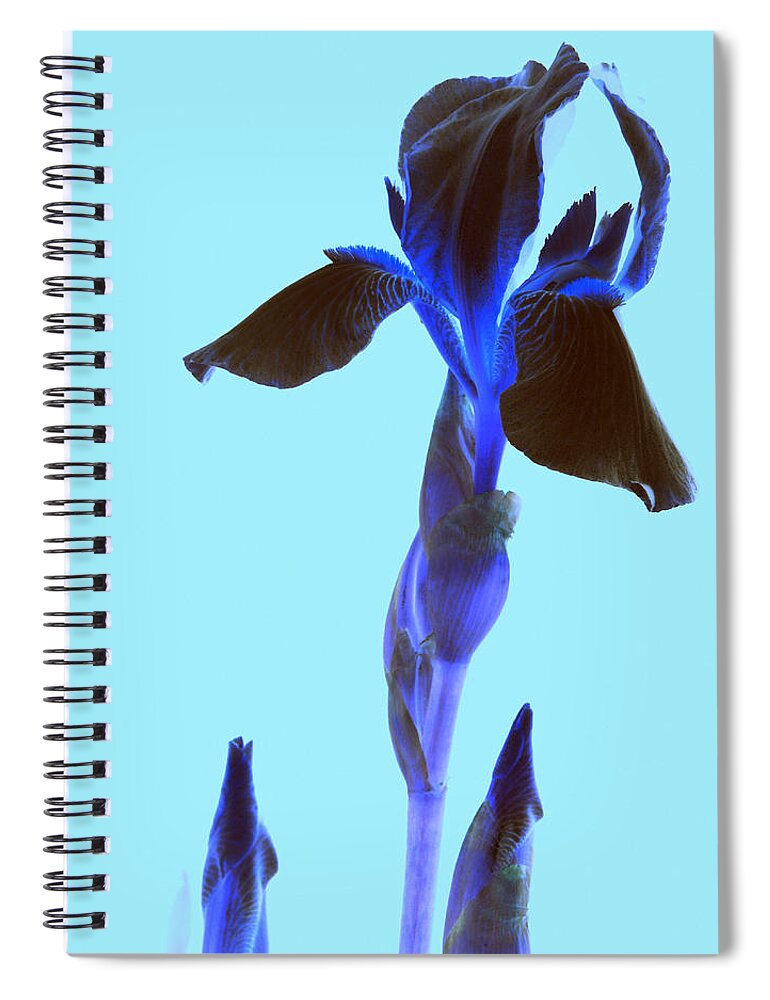 Iris Spiral Notebook featuring the photograph Spring Abstract by Kim Galluzzo