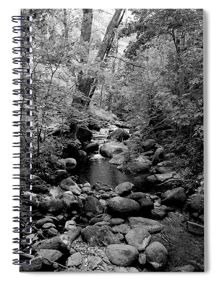 Spring Spiral Notebook featuring the photograph Spring Creek by Kathleen Grace