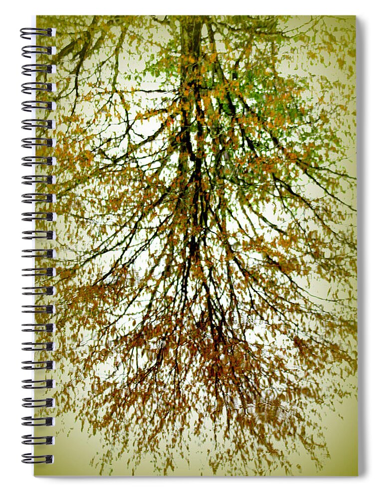 Tree Reflection Spiral Notebook featuring the photograph Spring Reflections by Kim Galluzzo