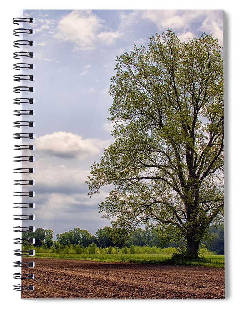 Tree Spiral Notebook featuring the photograph Spring Shade Tree by Bill and Linda Tiepelman