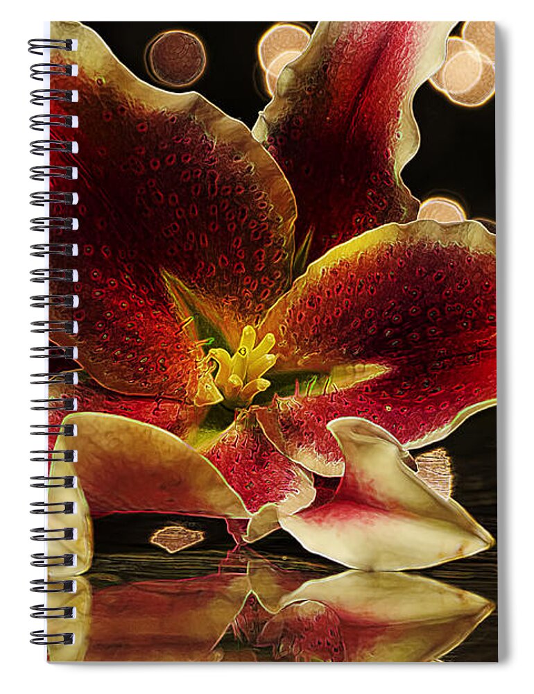 Reflection Spiral Notebook featuring the photograph Stargazed Reflections by Bill and Linda Tiepelman