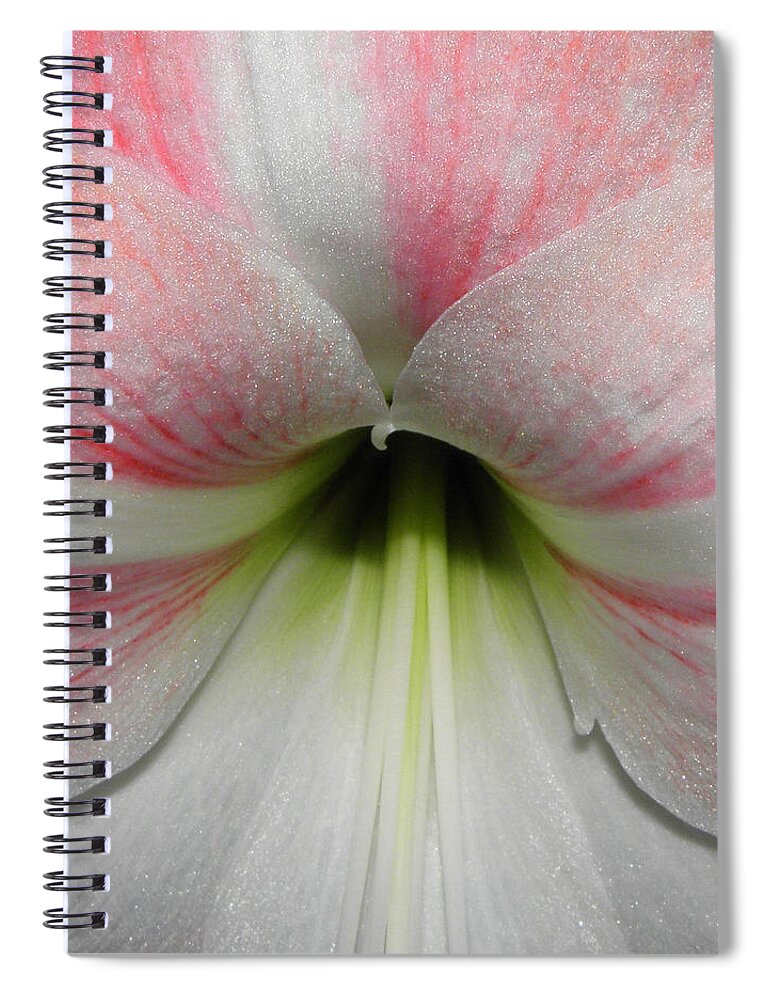 Pink Spiral Notebook featuring the photograph Streaks Of Pink by Kim Galluzzo Wozniak
