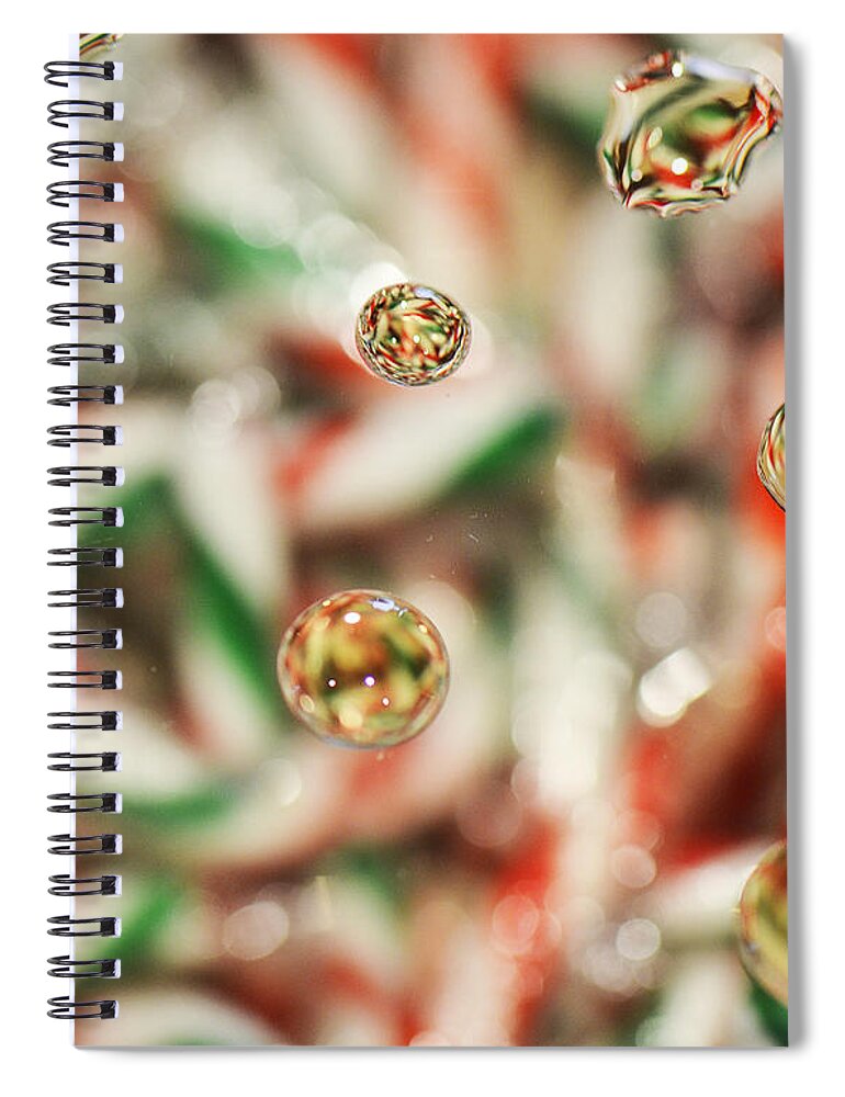 Droplets Spiral Notebook featuring the photograph Sugar on Canes by Traci Cottingham