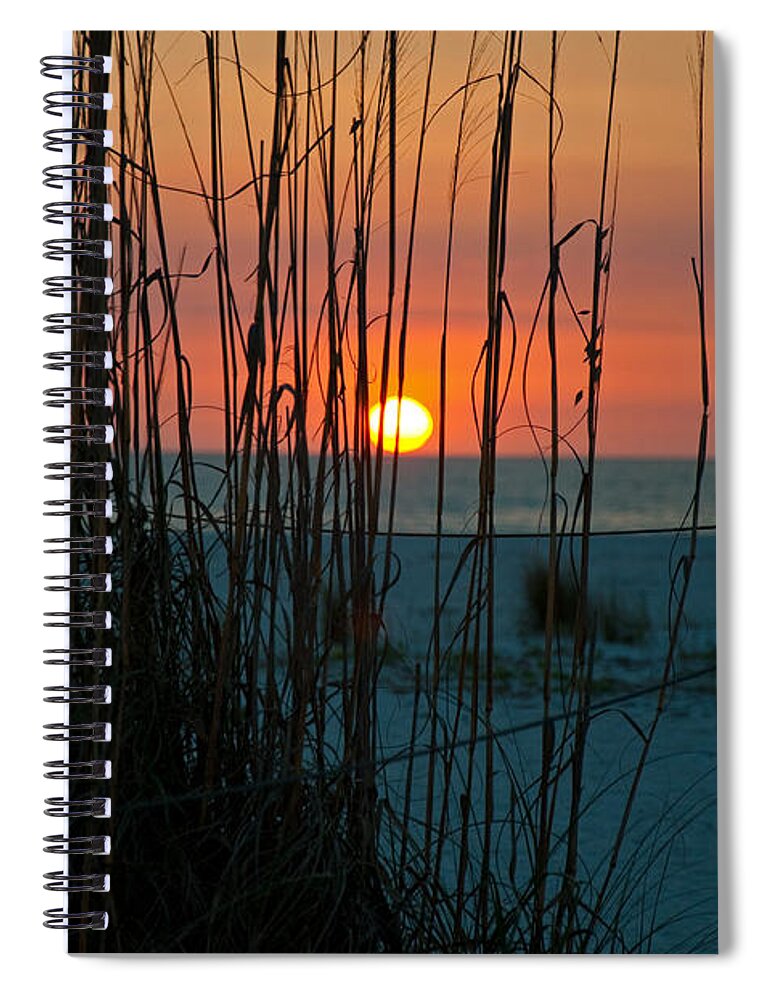 Sunset Spiral Notebook featuring the photograph Sunset Through Beach Grass by CM Stonebridge