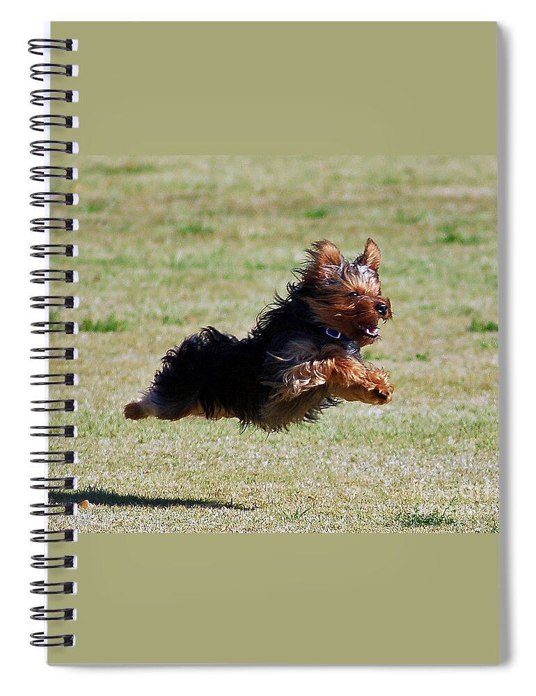 Yorkie Spiral Notebook featuring the photograph Super Yorkie by Stephen Whalen