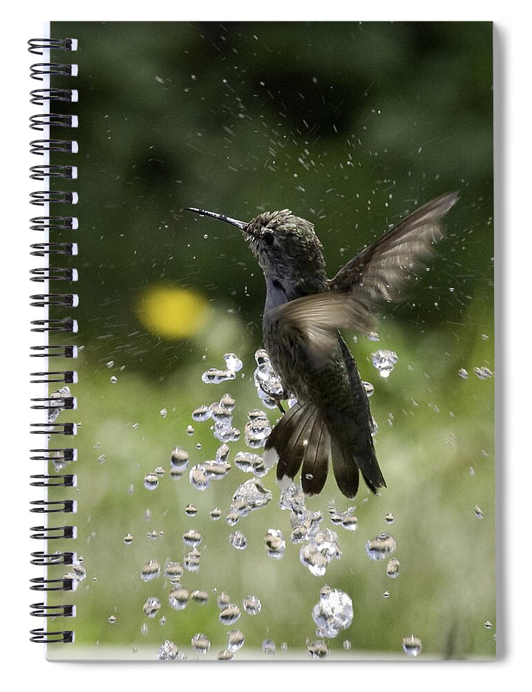 Hummer Spiral Notebook featuring the photograph Surfing the Drops of Water by Betty Depee