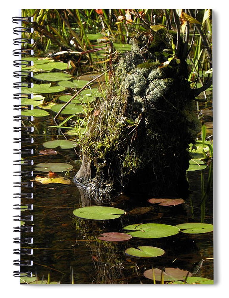 Stump Spiral Notebook featuring the photograph Surrounded By Lily Pads by Kim Galluzzo