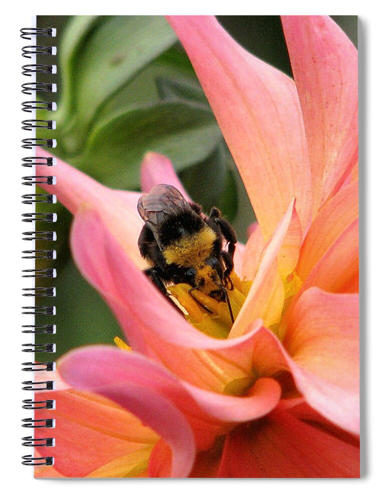 Flower Spiral Notebook featuring the photograph Sweet Nectar by Rory Siegel