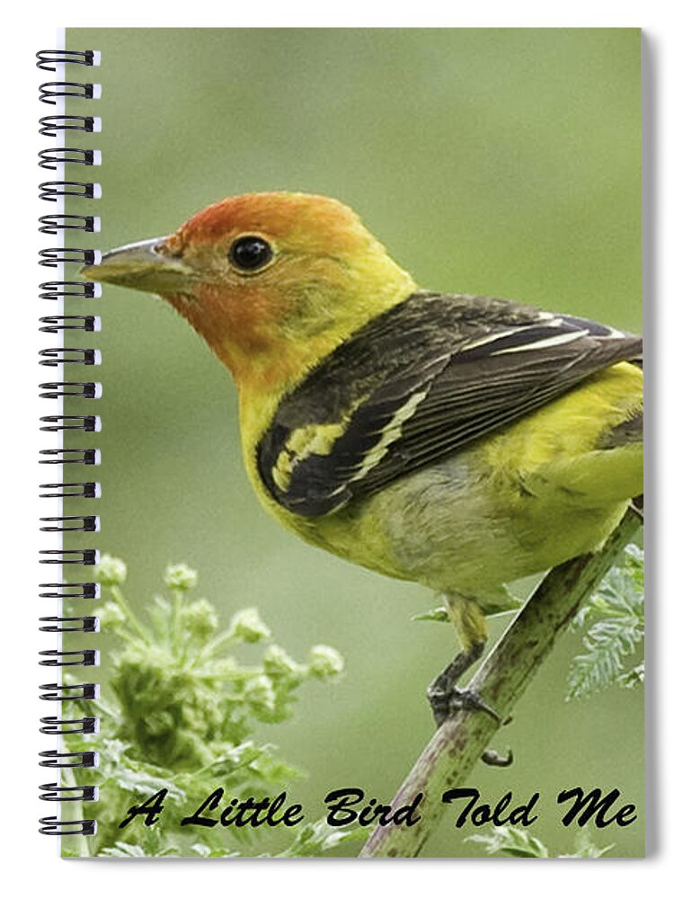 Little Bird Spiral Notebook featuring the photograph Tanager Card by Betty Depee